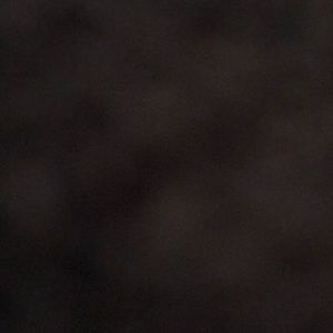 Meet your Posher, Rose